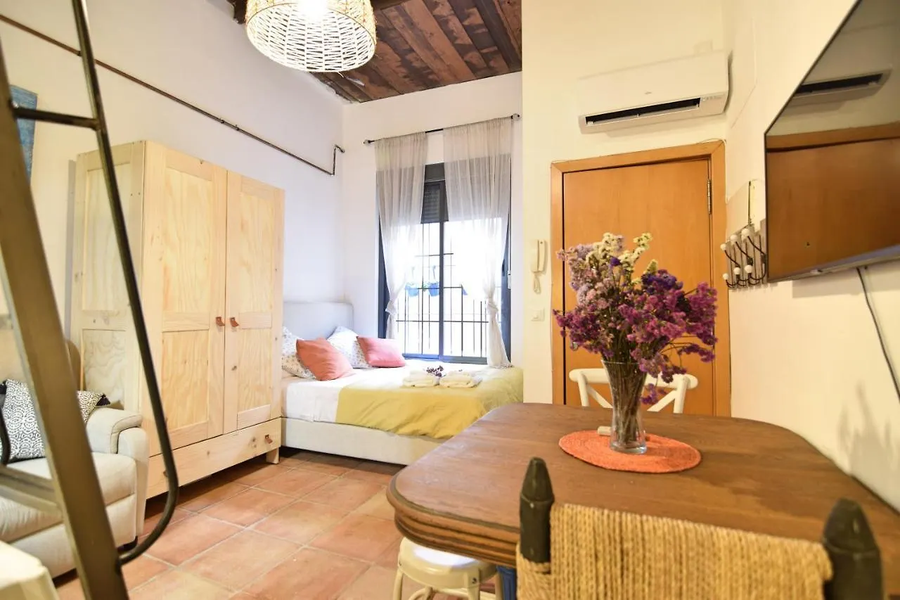 Loft Perez Apartment Cortes de la Frontera