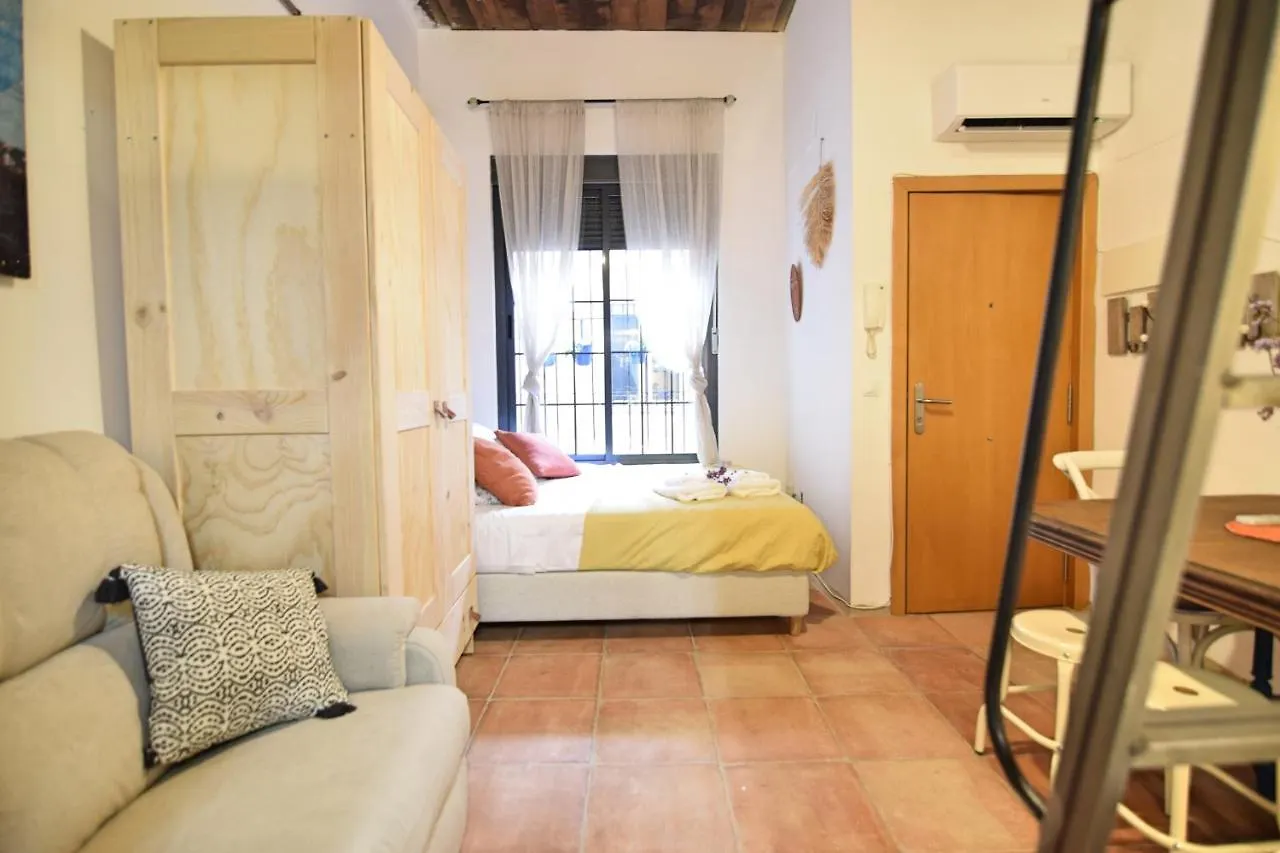 Loft Perez Apartment Cortes de la Frontera Spain